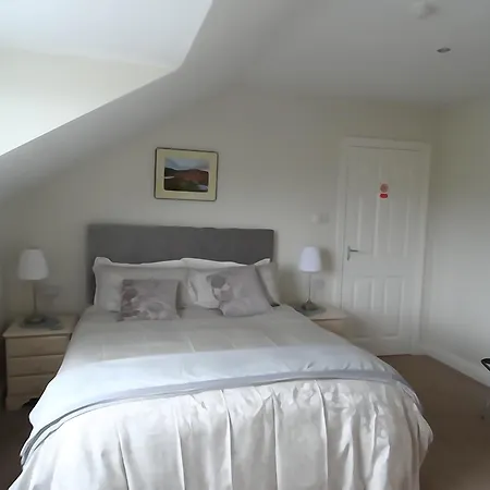 Panzió Dunlavin House 4*