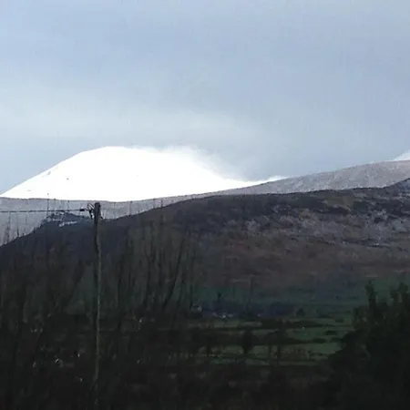 Nocleg ze śniadaniem Dunlavin House