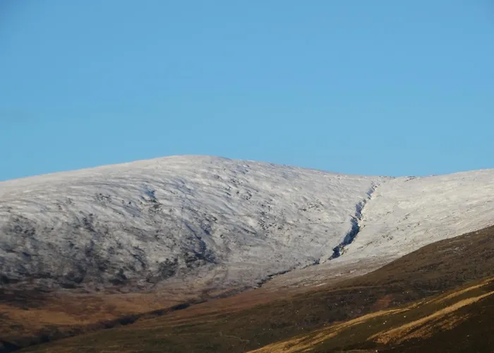 Bed & Breakfast Dunlavin House 4*