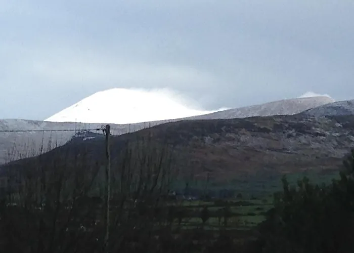 Oda ve Kahvaltı Dunlavin House